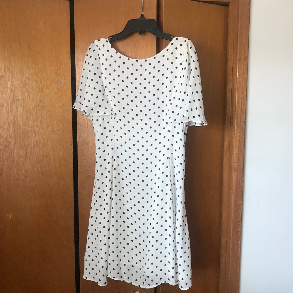 ZARA TRAFULUC Navy Polkadot White Dress Mini-Dress
